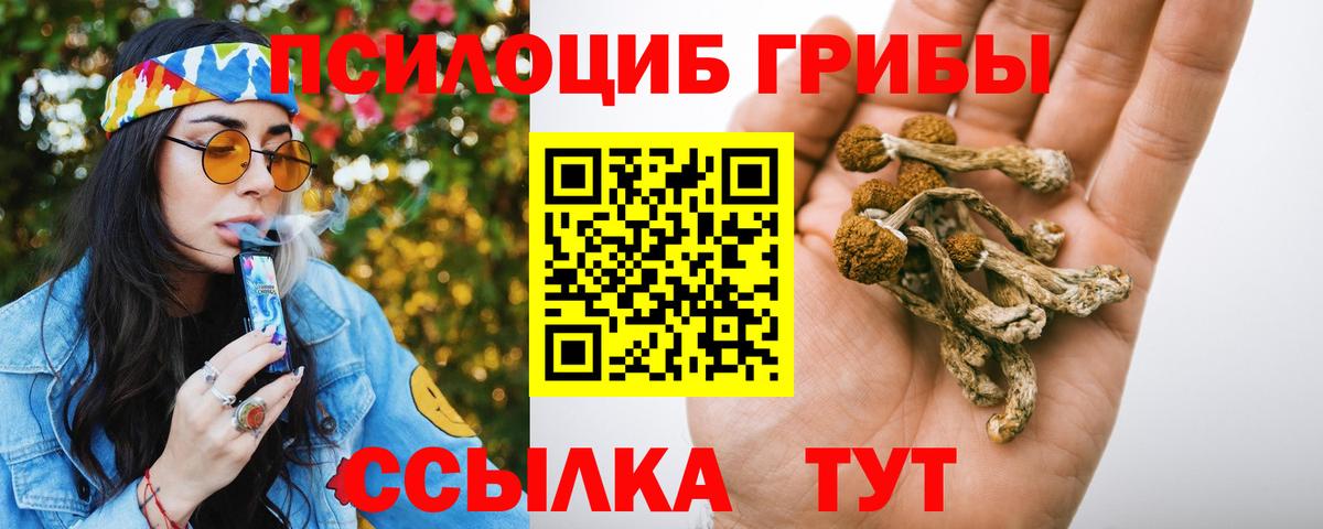 Галлюциногенные грибы MAGIC MUSHROOMS  закладки  Псков  Псилоцибиновые грибы Psilocybe  Вход с VPN 